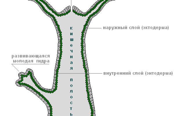 Как восстановить доступ к кракену