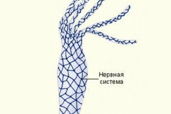 Kraken даркнет маркет